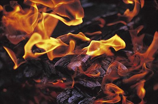燃烧,木碳,火,火焰,高温