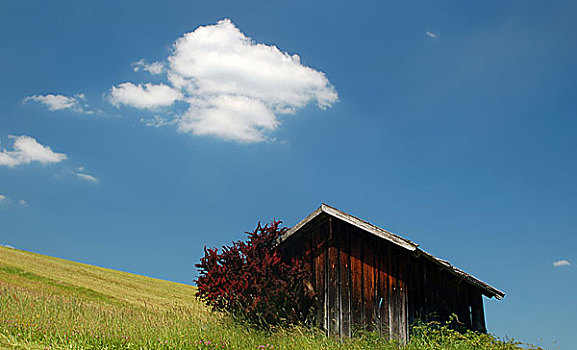 小屋,草场