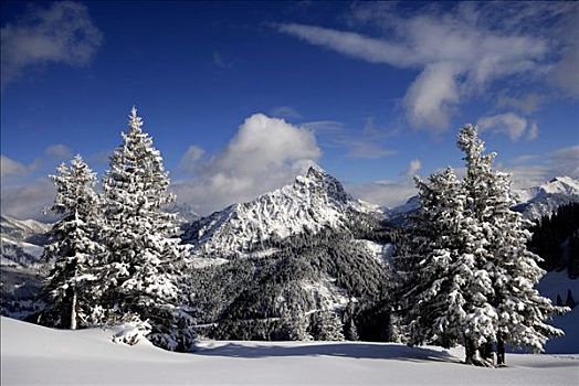 山峦,背景,冬季风景,巴伐利亚,德国,欧洲