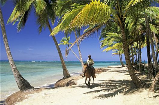 多米尼加共和国,海滩,男人,骑马