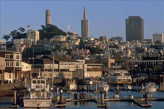 加利福尼亚,旧金山,码头,港口,城市