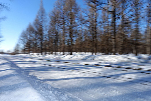 哈尔滨的雪景风光