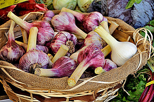 新鲜,紫色,蒜,篮子,市场货摊,巴登符腾堡,德国,欧洲