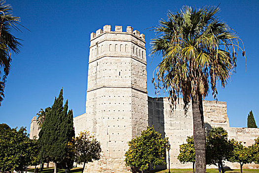 老,城堡,树,蓝天,安达卢西亚,西班牙