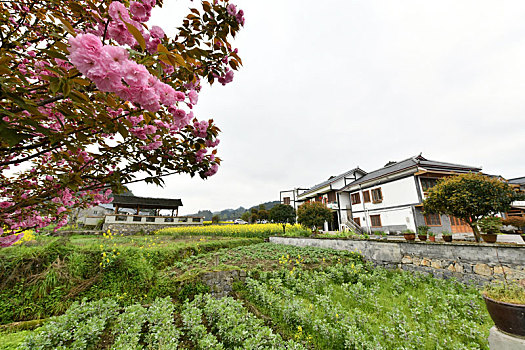 贵州遵义市播州区花茂村,绿水青山引游客