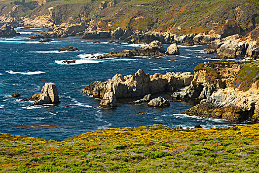 海浪,岸边,州立公园,加利福尼亚,美国