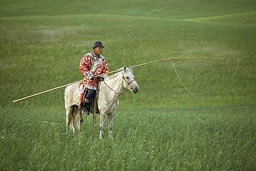 骑手,地点,蒙古,中国