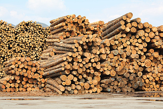木头,堆,堆放,切削,木料,工厂