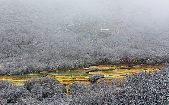 川西黄龙雪景