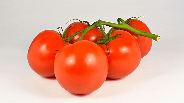 有机,自然,西红柿