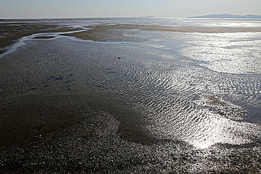 红海滩