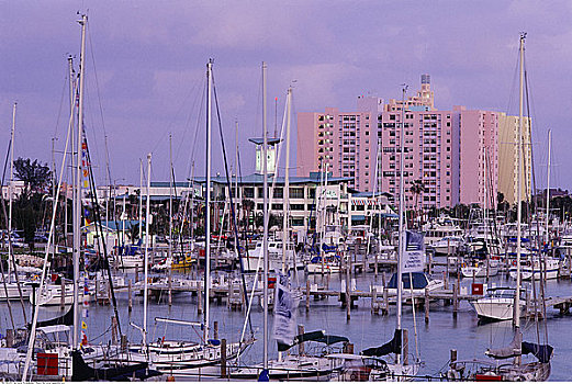 码头,黄昏,迈阿密,佛罗里达,美国
