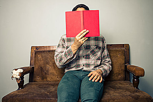 男人,沙发,隐藏,后面,红色,书本