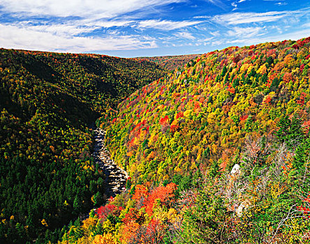 美国,西维吉尼亚,秋天,州立公园,峡谷,大幅,尺寸
