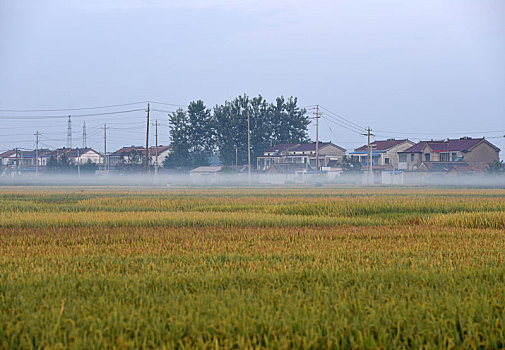 中国农村生产生活场景