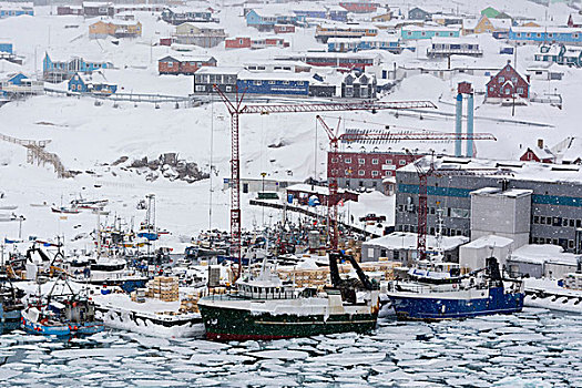 俯视图,暴风雪,上方,港口,伊路利萨特,格陵兰