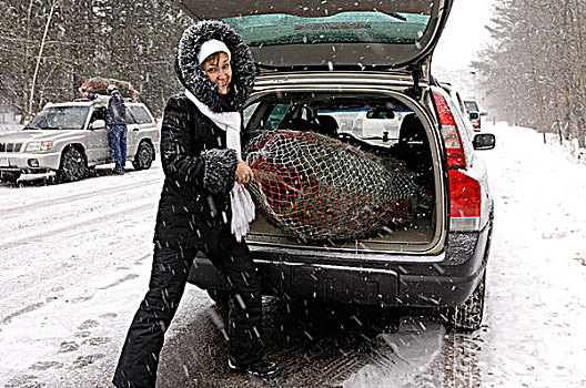 女人,放,新鲜,切削,圣诞树,后备箱,汽车,安大略省,加拿大