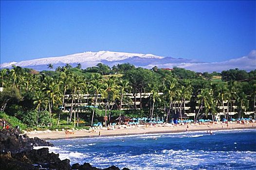 夏威夷,夏威夷大岛,北柯哈拉,莫纳克亚,胜地,积雪,山,背景