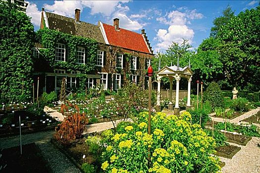 花园,正面,建筑,植物园,荷兰