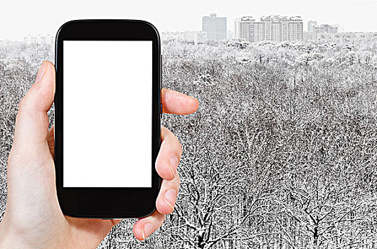 智能手机,雪,树林,靠近,城市