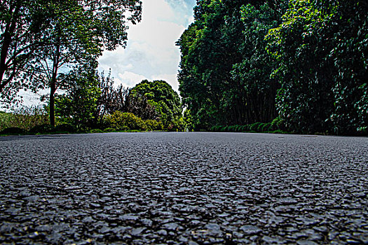 乡野道路