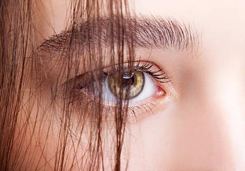 女性,褐色眼睛,褐色,眼部化妆