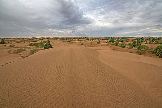 雨后库布齐沙漠