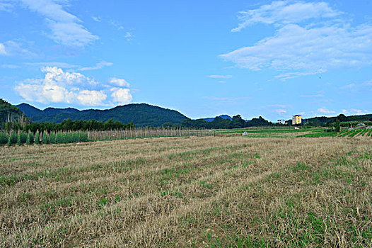 田园风光