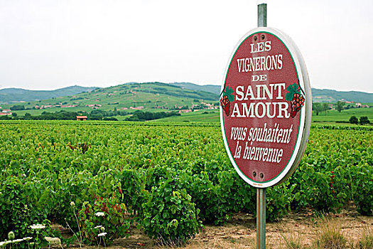葡萄酒,欢迎标志,博若莱葡萄酒,酒乡,罗纳河谷,法国
