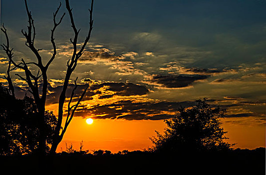 日落,克鲁格国家公园,南非,非洲