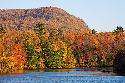 秋色,水塘,西部,魁北克,加拿大