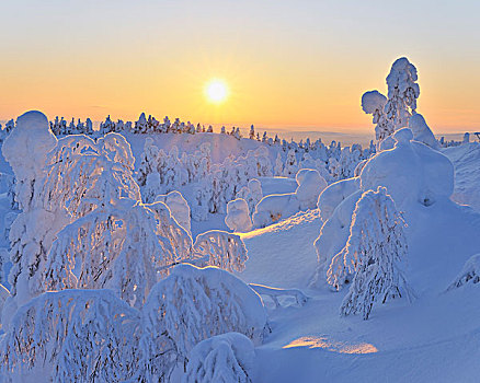 日落,库萨莫,北方,芬兰