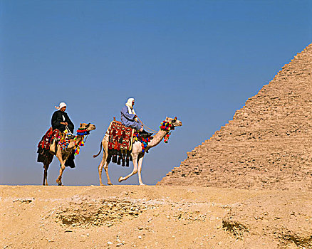 埃及,开罗,吉萨金字塔,卡夫拉,金字塔,骆驼,驾驶员