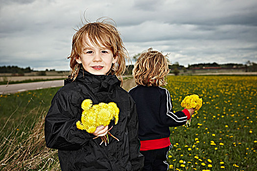男孩,摘花,地点,瑞典
