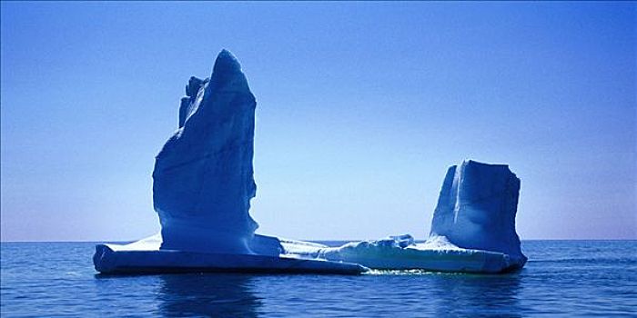 冰山,特威林盖特,纽芬兰,拉布拉多犬,加拿大