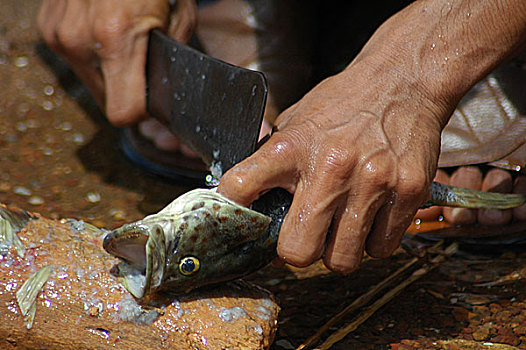 渔民,准备,鱼肉,烹调,蟹肉,市场,包着,向上,白天,海滩,柬埔寨,支付,许多,专注,卫生,十月,2007年