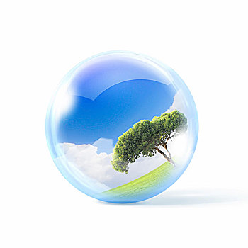 绿色,树,室内,透明,玻璃,球体