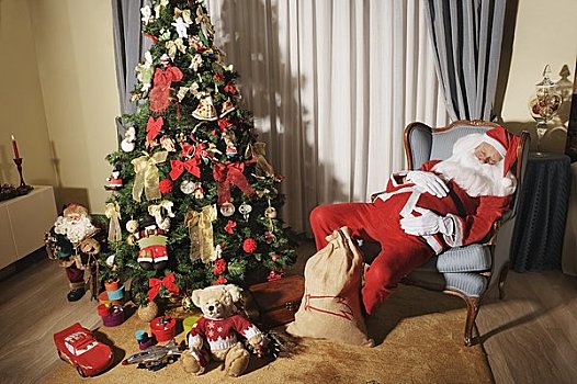 睡觉,椅子,旁侧,圣诞树