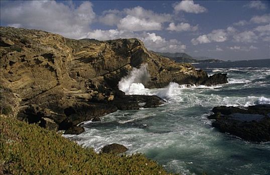 岩石构造,海岸,海狮,小湾,罗伯士角州立保护区,加利福尼亚,美国