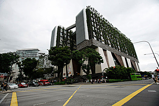 新加坡,艺术学院