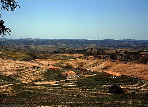 农业,山,葡萄牙