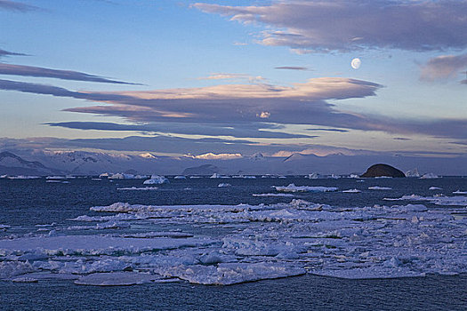 冰,海洋,黄昏,保利特岛,南极半岛,南极