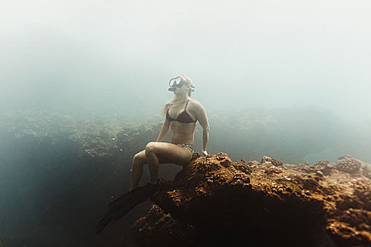 女人,水下,穿,通气管,坐,石头,瓦胡岛,夏威夷,美国