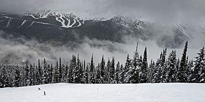 风景,积雪,树,山脉,背景,惠斯勒,不列颠哥伦比亚省,加拿大
