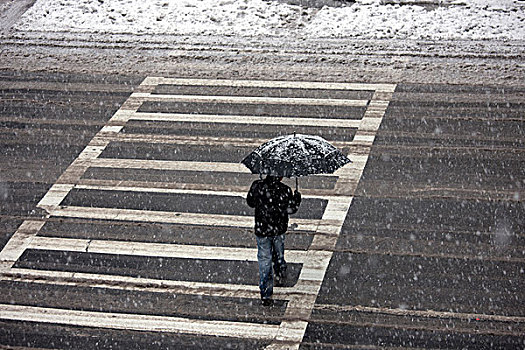 后视图,一个人,走,途中,雪,纽约,美国