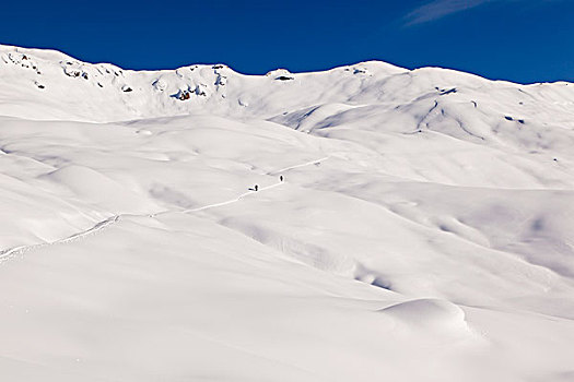 孤单,越野滑雪者,雪景,男式礼服,阿尔卑斯山,提洛尔,奥地利,欧洲