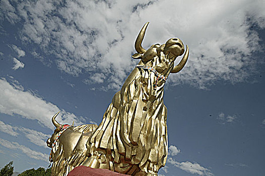 西藏拉萨牦牛雕塑