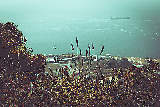 风景,上方,海洋,石头,直布罗陀
