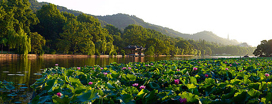 西湖·空谷传声·保俶塔