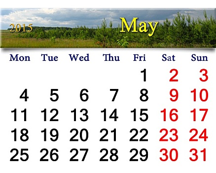 日历,五月,雷雨,云,松树